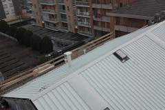 Borlando_Carlesso2019-8
