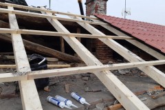 trecate-casa_Carlesso2019-3